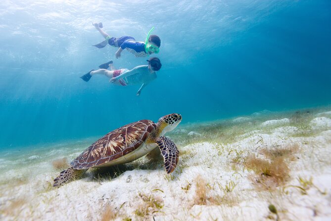 Waikiki Green Sea Turtle Snorkeling Tour - Boat Excursion - Waikiki coastline cruising: Diamond Head in your peripheral vision