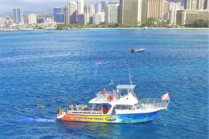 Waikiki, Hawaii: Turtle Canyon Snorkel Excursion - The short snorkel lesson that keeps beginners safe