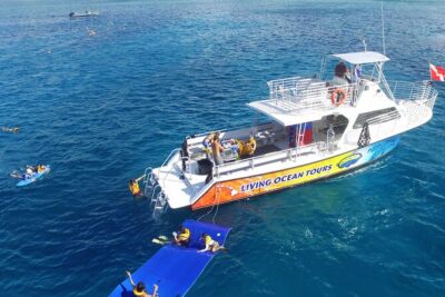 Waikiki, Hawaii: Turtle Canyon Snorkel Excursion - Living Ocean Tours check-in and how the route plays out