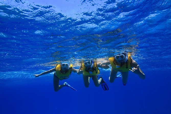 Waikiki, Hawaii: Turtle Canyon Snorkel Excursion - The boat setup: snacks, refreshments, and practical comfort