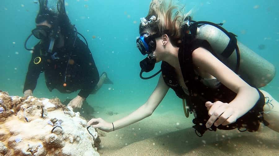 Waikiki: Honolulu Beginner Scuba Diving with Videos - What you’ll actually do underwater (and why it works)