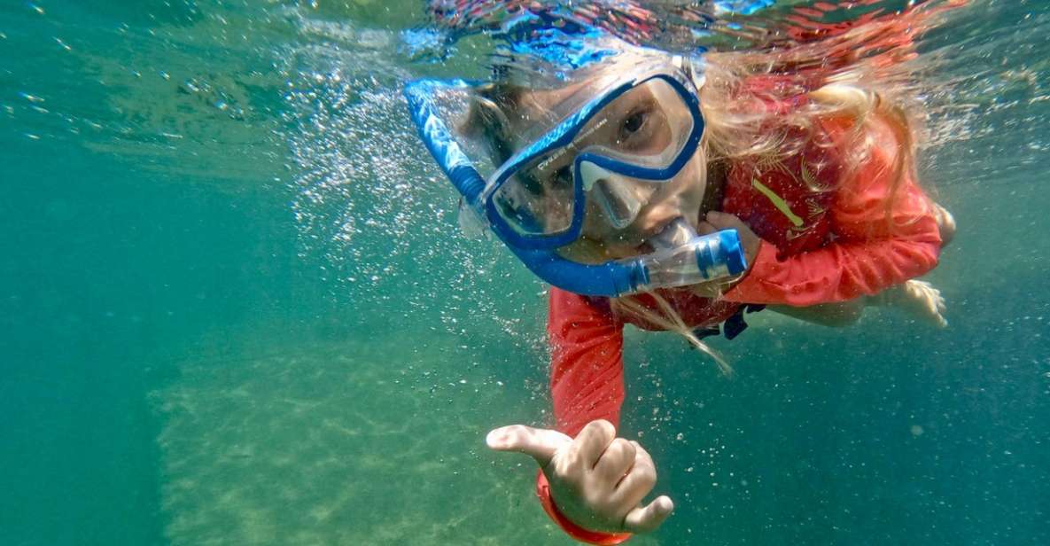 Waikiki: Honolulu Beginner Snorkeling Tour with Videos - 5 Things That Make This Waikiki Beginner Snorkel Tour Worth Your Time