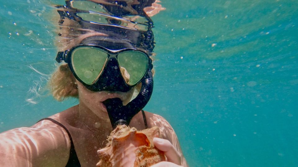 Waikiki: Honolulu Beginner Snorkeling Tour with Videos - What to Bring (and What You Can’t Ignore)