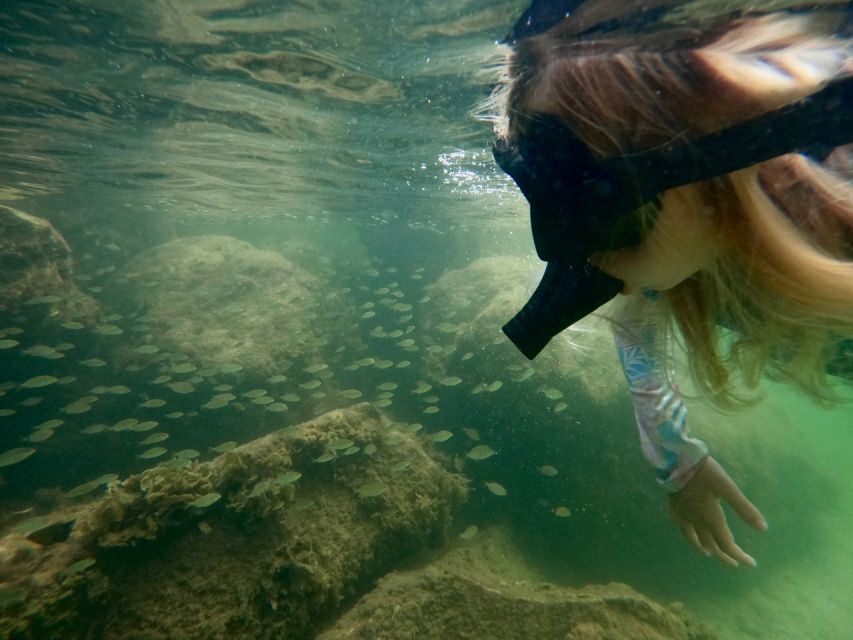 Waikiki: Honolulu Beginner Snorkeling Tour with Videos - The 90-Minute Flow: From Briefing to Floating Comfortably