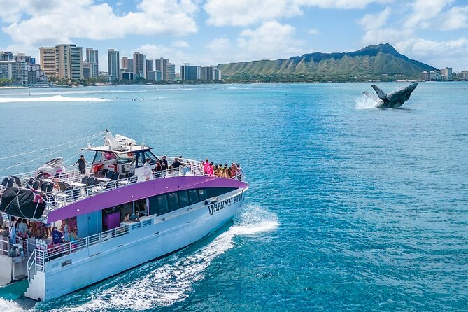 Waikiki, Oahu 2-Hour Whale Watching: Guaranteed Sightings - Value at $45.31: the free return changes the risk math