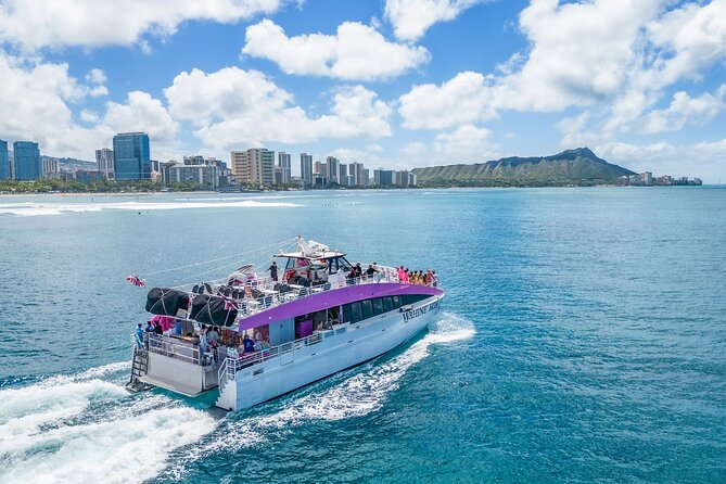 Waikiki, Oahu 2-Hour Whale Watching: Guaranteed Sightings - Pink Sails Waikiki and the first 30 minutes: where your time is won