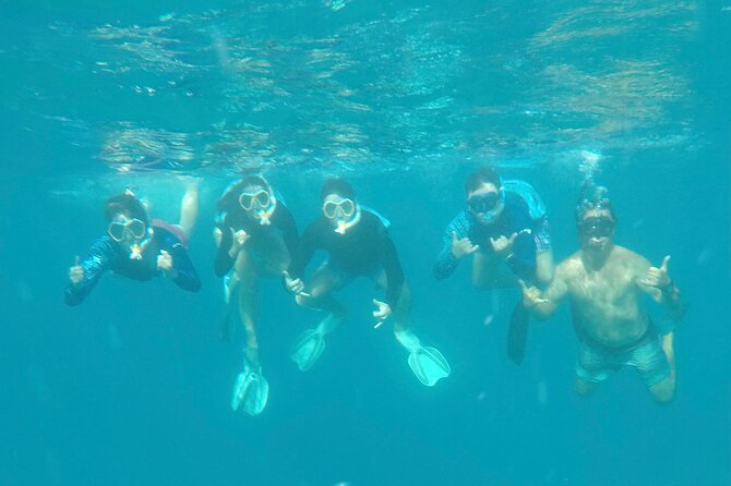 Waikiki small group turtle snorkeling & sailing - Turtle Canyon Snorkeling: Sea Turtles, Fish, and Real Guidance