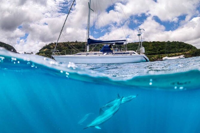 Waikiki small group turtle snorkeling & sailing - What You’ll Need to Bring (and What You Can Skip)