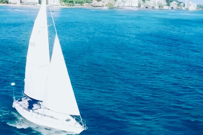 Waikiki small group turtle snorkeling & sailing - Is It Worth $99? The Small-Group Value Math