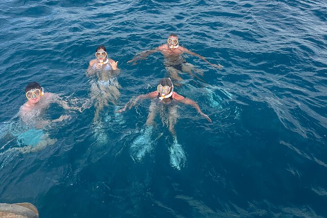 Waikiki small group turtle snorkeling & sailing - Who This Turtle and Sailing Trip Fits Best