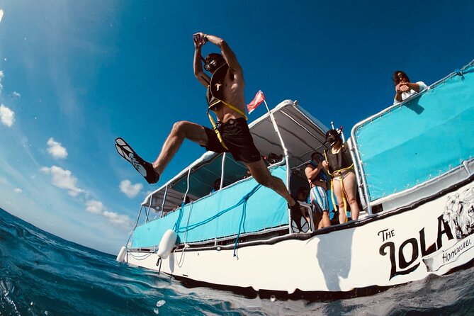 Waikiki Snorkel Tour - Why this Waikiki Snorkel Tour is good value
