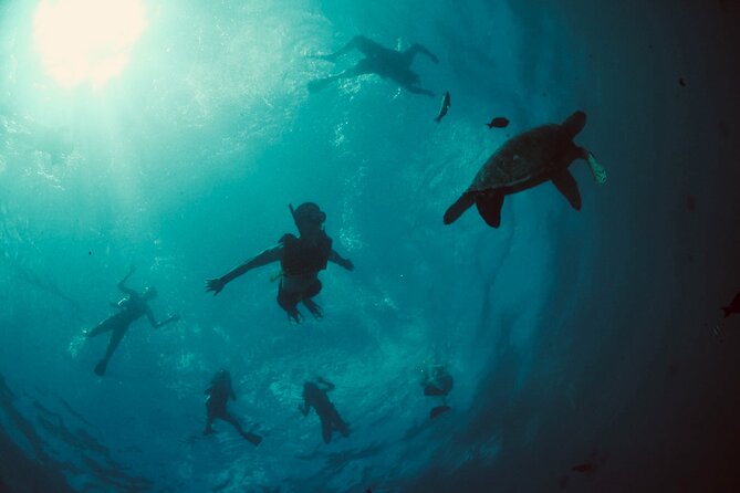 Waikiki Snorkel Tour - On the water: the boat ride that sets up your snorkeling time