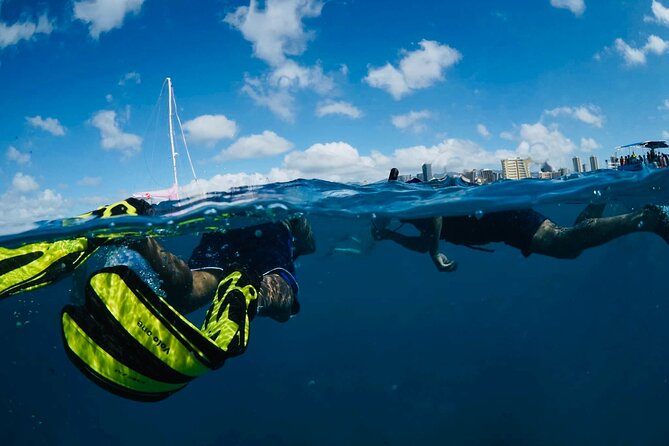 Waikiki Snorkel Tour - Turtle Canyons snorkeling: what you’ll actually see
