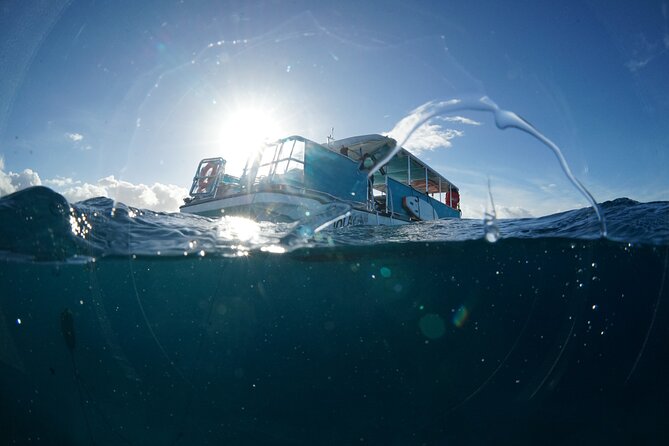 Waikiki Snorkel Tour - Group size, water time, and the crowded-water reality