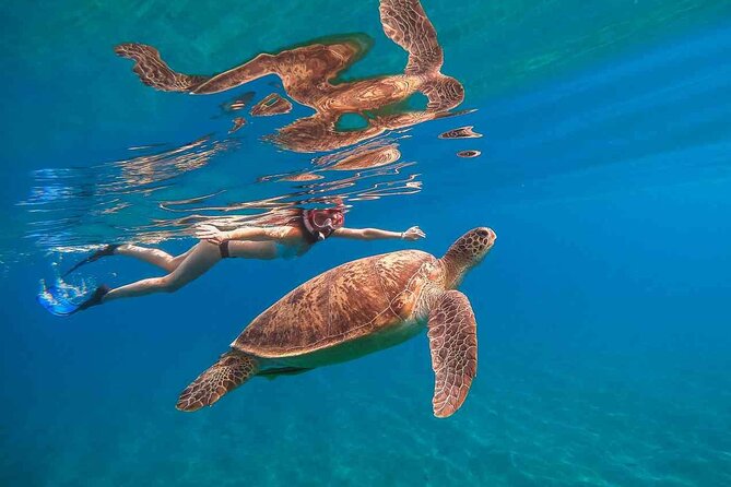 Waikiki Snorkeling Adventures with E Sea Diver! - Key takeaways before you book