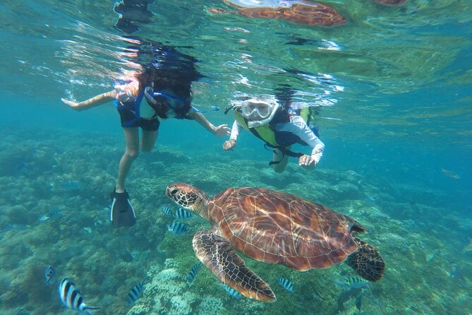 Waikiki Snorkeling Adventures with E Sea Diver! - The 65-Foot Catamaran Vibe in Waikiki