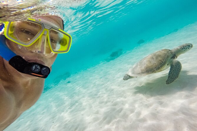 Waikiki Snorkeling Adventures with E Sea Diver! - Snorkeling time: gear, coaching, and what “easy” really means