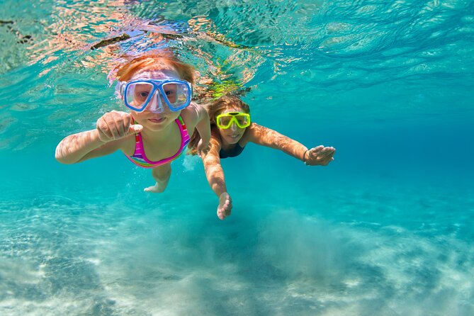 Waikiki Snorkeling Adventures with E Sea Diver! - Marine life expectations: turtles, fish, dolphins, whales, and why sightings vary