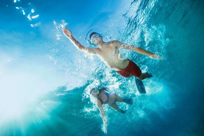 Waikiki Snorkeling Adventures with E Sea Diver! - Timing, sea conditions, and motion comfort on open water