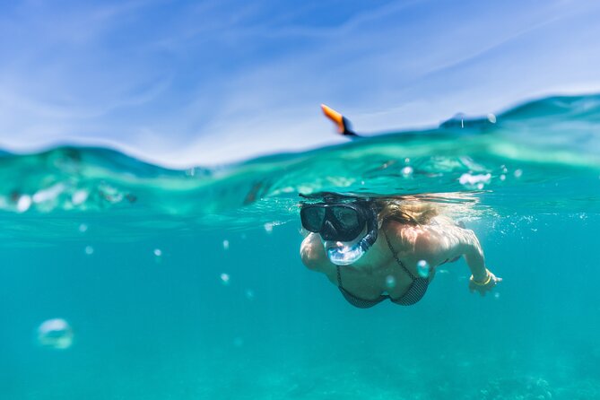 Waikiki Snorkeling Adventures with E Sea Diver! - Who this tour suits best in Waikiki