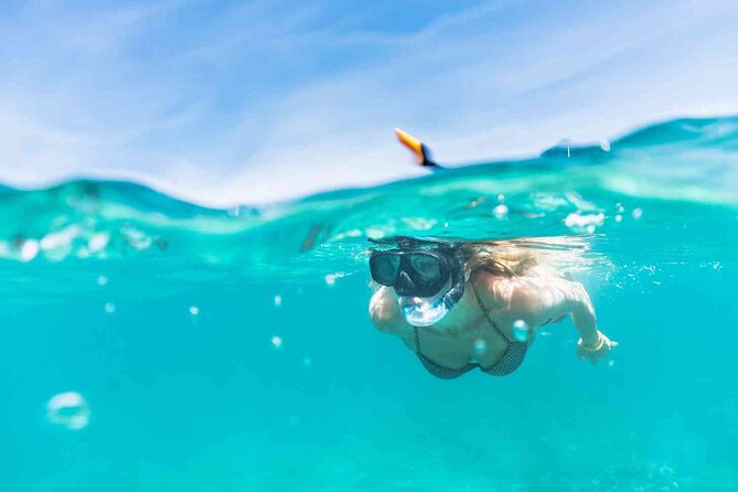 Waikiki Snorkeling Adventures with E Sea Diver! - Price and logistics: what $69 buys you (and what it doesn’t)