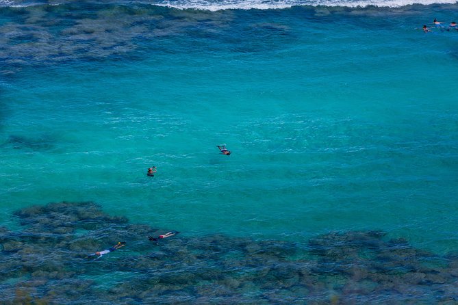 Waikiki Trolley Hop-On Hop-Off Tour of Honolulu - Blue Line East Side: Diamond Head, Blow Hole, and Sea Life
