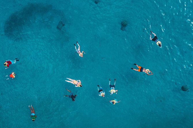 Waikiki: Turtle Canyon Snorkel - Turtle Canyon Snorkel Time: How It’s Run in Real Life