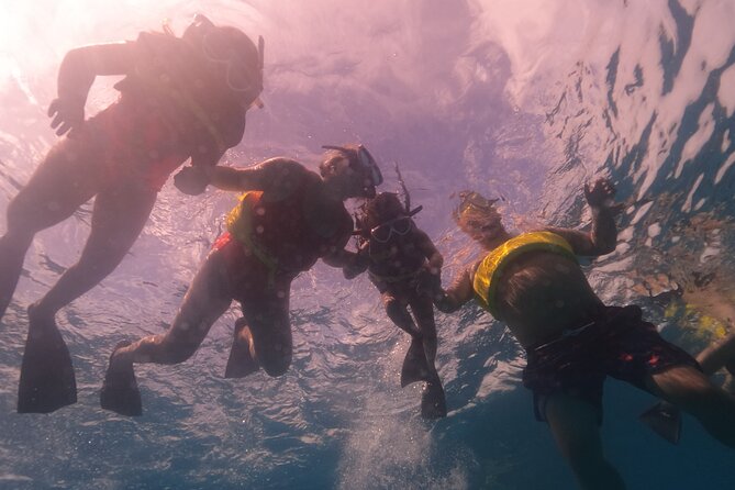 Waikiki: Turtle Canyon Snorkel - What Could Go Wrong (Crowds, Floatation Limits, and Mask Issues)