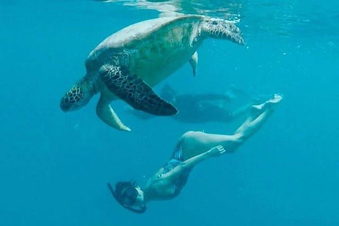 Waikiki Turtle Snorkel and Sail on Hawea Catamaran - Hawea Catamaran: A Clean Boat and a Crew That Keeps It Moving