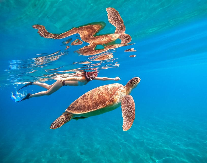 Waikiki: Turtle Snorkeling Cruise with 20ft Jumping Platform - Your Waikiki Morning (or Afternoon) at Sea