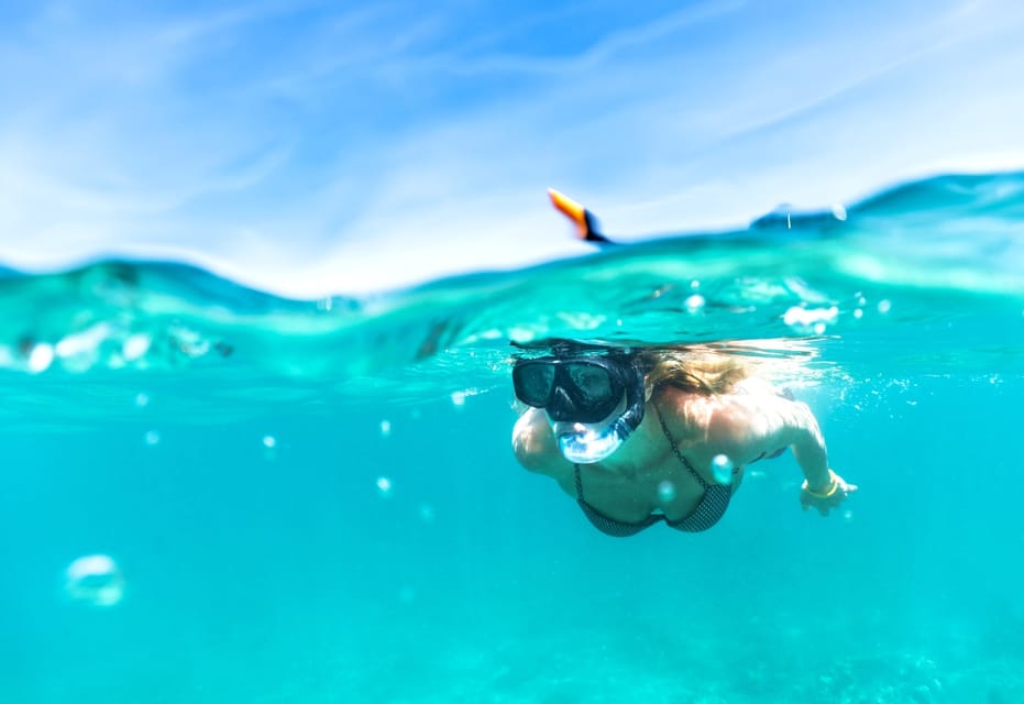 Waikiki: Turtle Snorkeling Cruise with 20ft Jumping Platform - Safety Briefing and How the Tour Gets You Snorkel-Ready