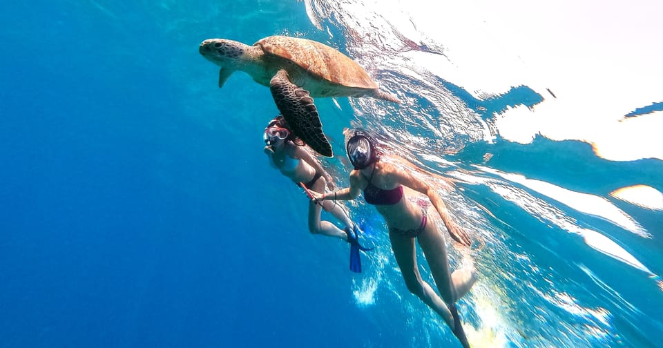 Waikiki: Turtle Snorkeling Cruise with 20ft Jumping Platform - The Cruise Out: Views of Oahu’s Coast While You Relax