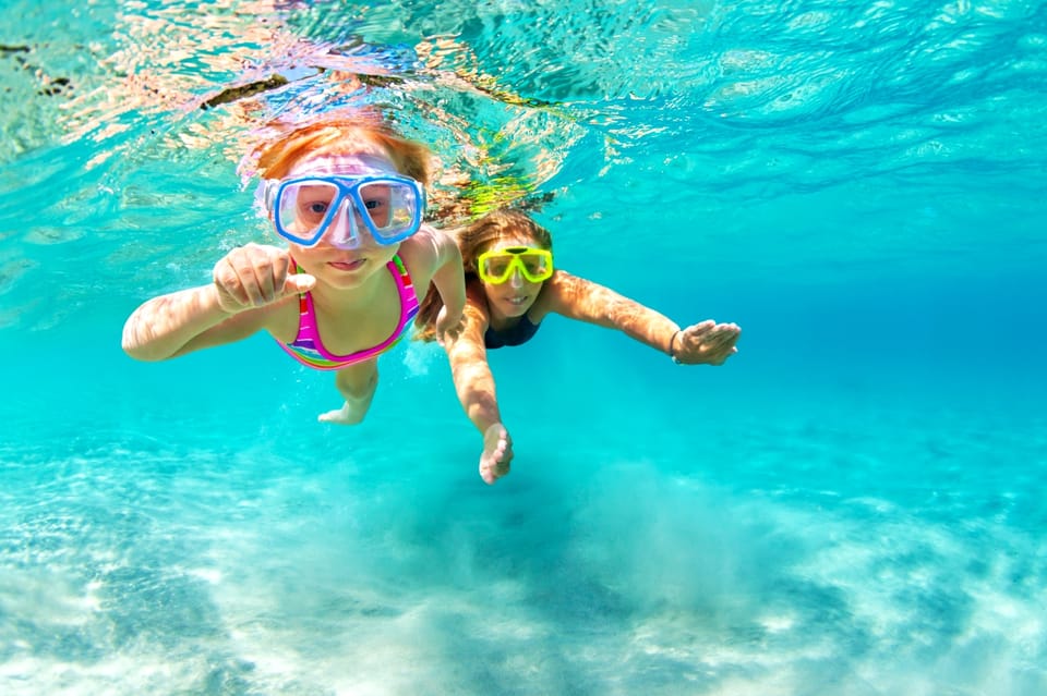 Waikiki: Turtle Snorkeling Cruise with 20ft Jumping Platform - Snorkeling for Sea Turtles and Reef Fish