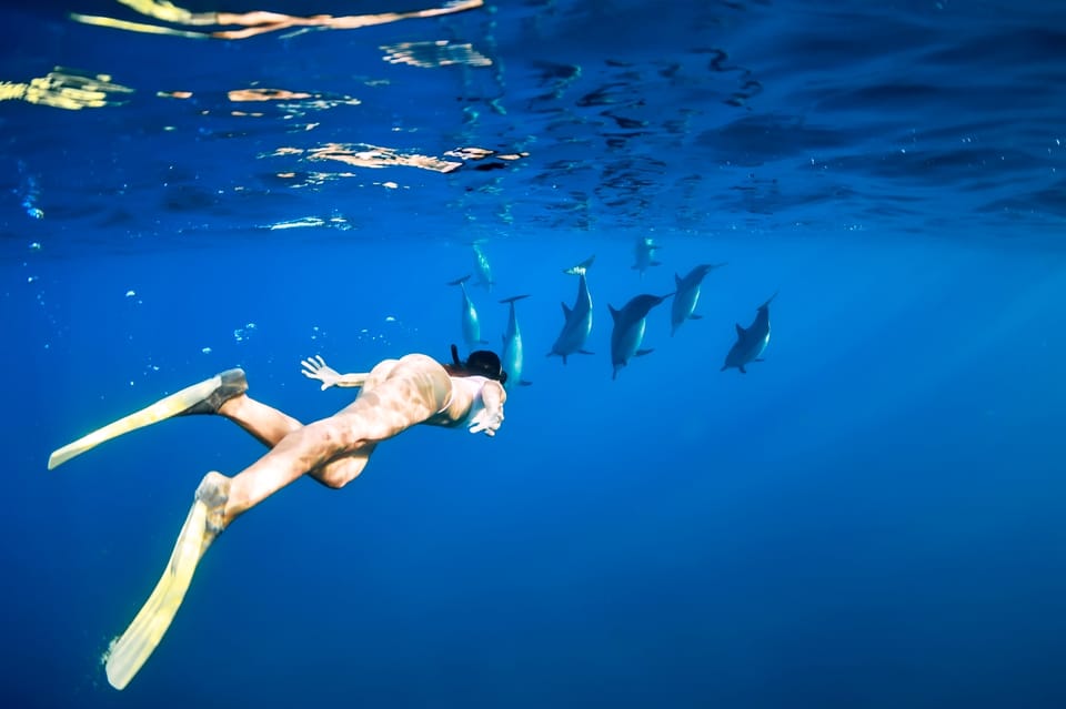 Waikiki: Turtle Snorkeling Cruise with 20ft Jumping Platform - The High Jump Platform Moment (Optional, but Memorable)