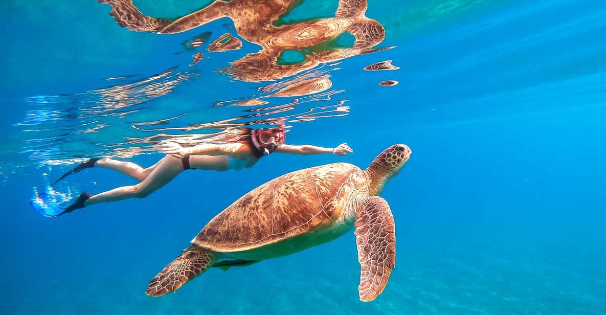 Waikiki: Turtle Snorkeling Cruise with 20ft Jumping Platform - Snacks, Water, Juice, and Keeping Your Energy Up