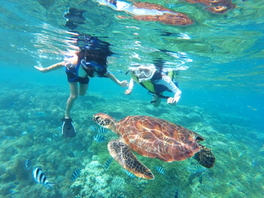 Waikiki: Turtle Snorkeling Cruise with 20ft Jumping Platform - Getting From Waikiki to the Catamaran (Without the Headache)