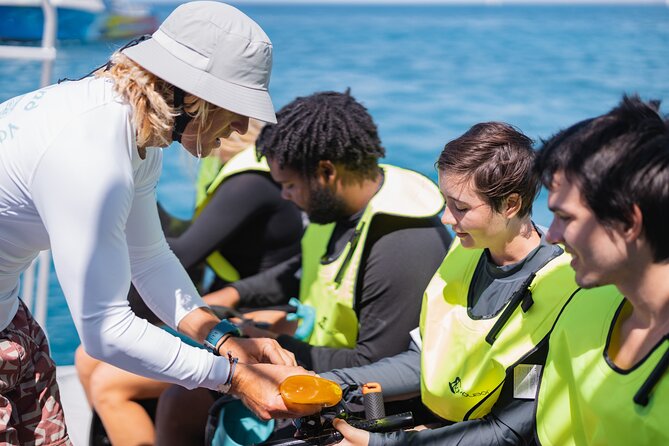 Waikiki Turtle Snorkeling Tour with Complimentary Trolley Ride - Price and Value: Is $100.80 a Good Deal?