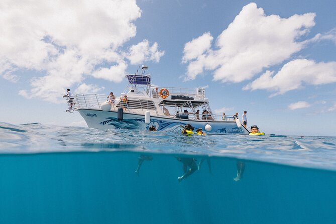 Waikiki Turtle Snorkeling Tour with Complimentary Trolley Ride - Boat Time and the Double-Decker Experience