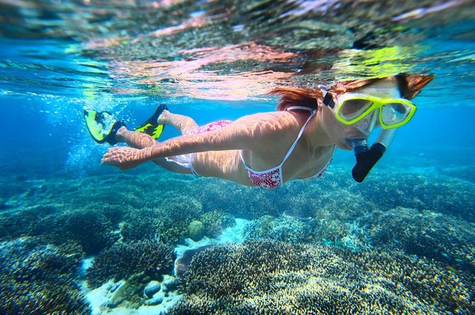 West Oahu Dolphin Watch and Snorkel Sail with Lunch - Who This Tour Is Best For (And Who Might Want Another Option)