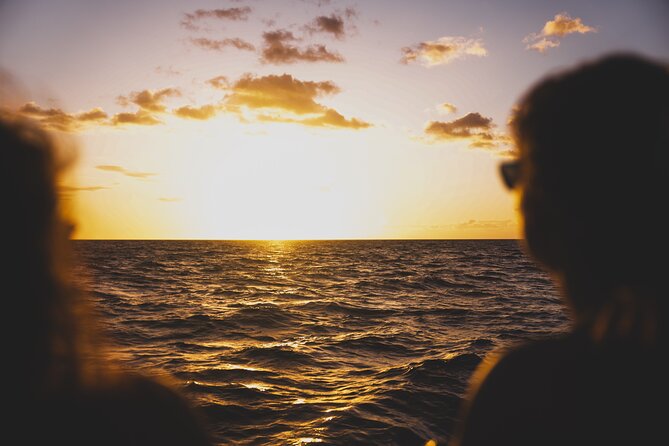 West Oahu Sunset Cocktail Cruise with Appetizers - Wildlife moments: dolphins are the safe bet, whales are the prize