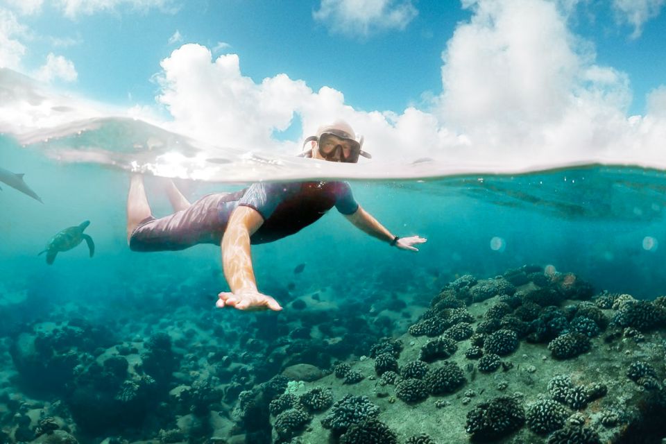 West Oahu: Turtles, Dolphins, and Snorkeling Tour with Lunch - So, should you book it?