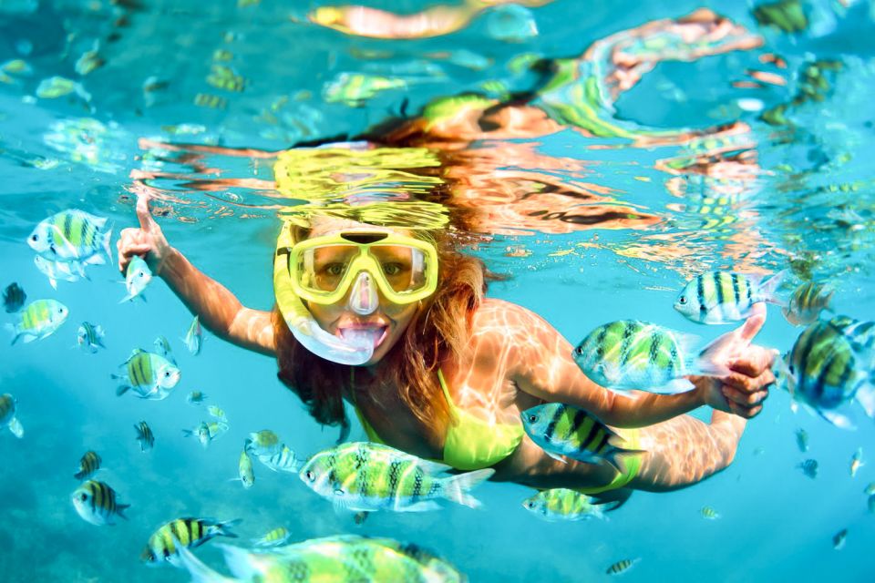 West Oahu: Turtles, Dolphins, and Snorkeling Tour with Lunch - West O‘ahu in 3 Hours: The pace that actually works