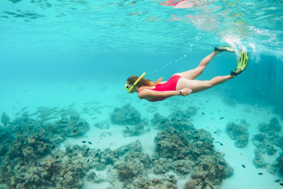 West Oahu: Turtles, Dolphins, and Snorkeling Tour with Lunch - The crew and safety: the human factor is the magic