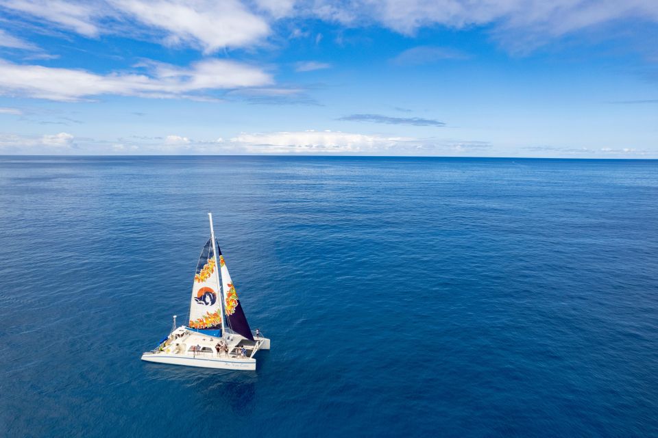 West Oahu: Turtles, Dolphins, and Snorkeling Tour with Lunch - Price and who should book this West O‘ahu tour
