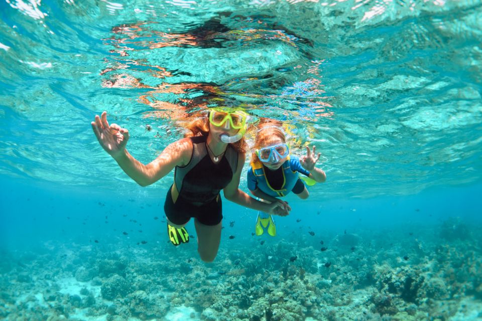 West Oahu: Turtles, Dolphins, and Snorkeling Tour with Lunch - When conditions change: swells, visibility, and reef activity