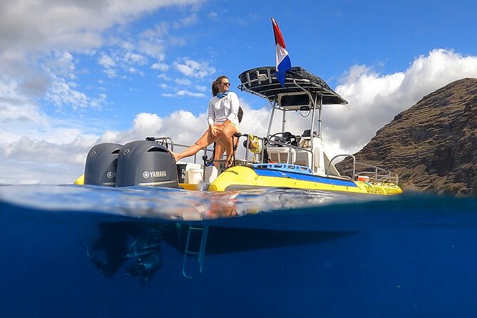 Wild Dolphin Watching and Snorkel Safari Off West Coast of Oahu - Key points before you go