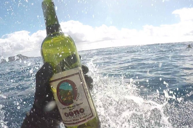 Winery Oeno Island Style Wine Tasting - Price and value reality check (without knowing the exact cost)
